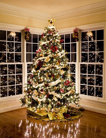 Christmas Tree Tips to Keep Your Home Safe